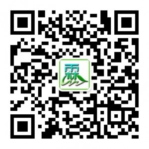 微信号Youth霖